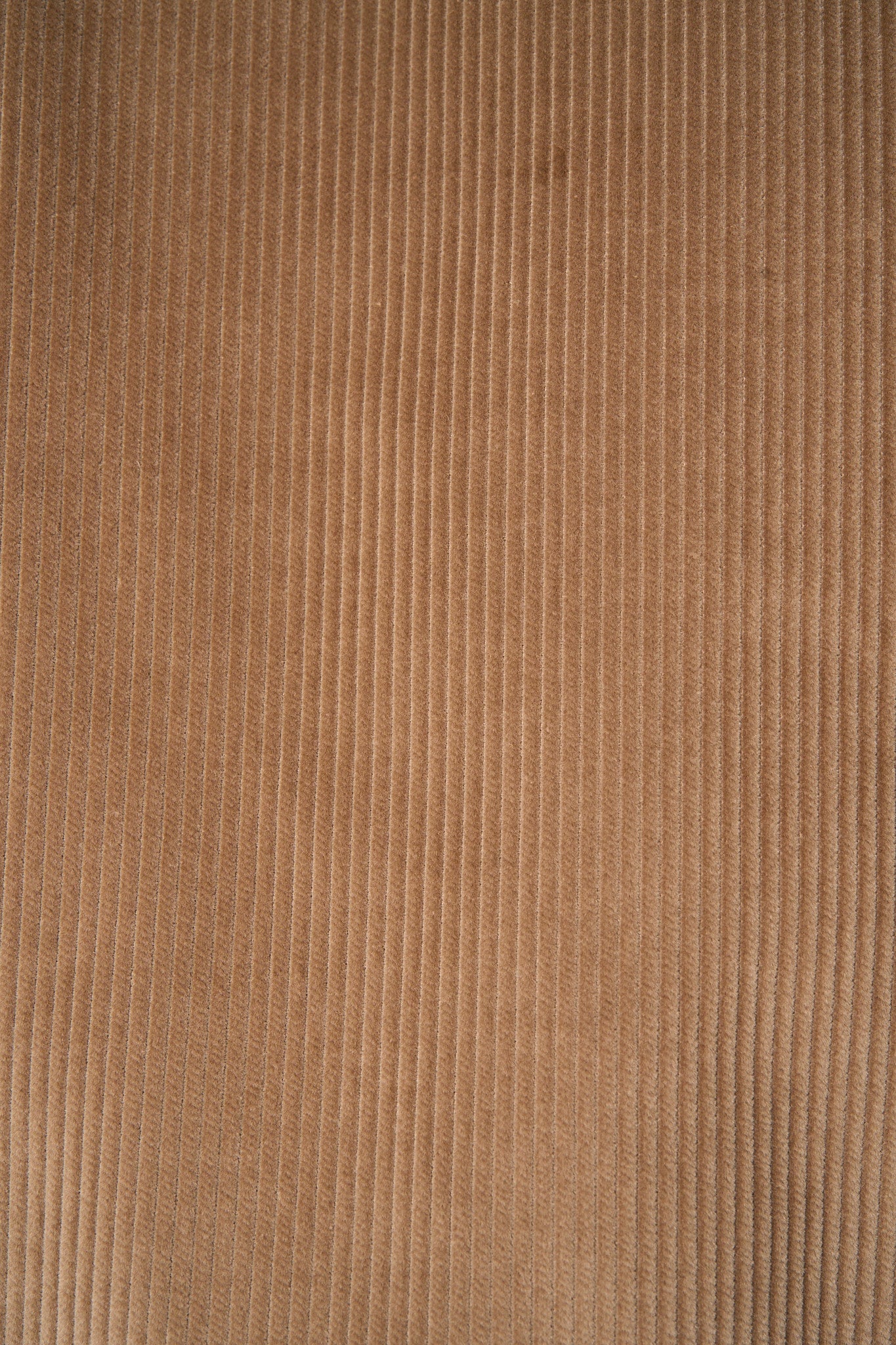 Cotton 8 Wale Corduroy in a soft light brown